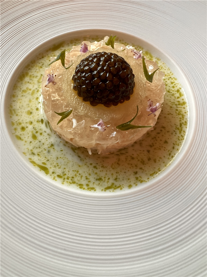 ritz 4032 crab top class-crop-v2.jpeg